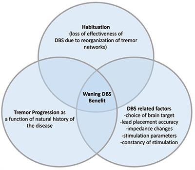 Habituation After Deep Brain Stimulation in Tremor Syndromes: Prevalence, Risk Factors and Long-Term Outcomes